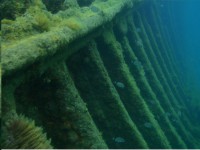 /album/barco-afundado/sargos-e-barco-afundado-jpg/